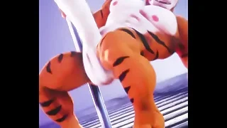 Gay Porn 33